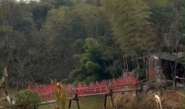 花溪新闻爆料最新视频,视频揭露惊人真相